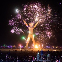 DATPHAT Live @ Burning Man 2014  Burn Night (Shangri-Lawless)