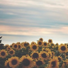 Use Somebody - Kings of Leon (acoustic cover)