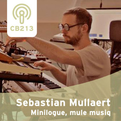 CB 213 - Sebastian Mullaert