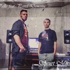 Vallis Feat. Pavel Denesiuc - Scurt Metraj
