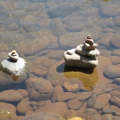 My Time In The Forest