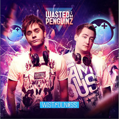 Wildstylez - A Complex Situation (Wasted Penguinz Edit)