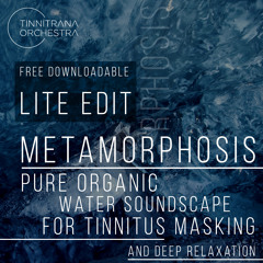 Metamorphosis - Free Lite Downloadable Edit