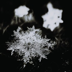 Krobak - It's Snowing Like It's The End Of The World