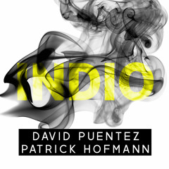 David Puentez & Patrick Hofmann - INDIO (Original Mix)