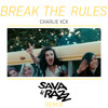 Charlie XCX - Break The Rules (Sava & Razz Remix)
