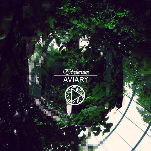 Edamame - Aviary