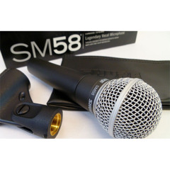 Miclab Snd SM58 Female Vocal2