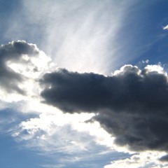 All They Ever Wanted