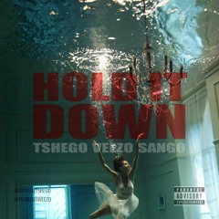 Hold It Down ft. Veezo