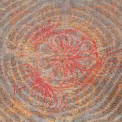 Vision of Bush Child SUPERTRAMP bushwaked by DJ Stoned Wheat Thins and DJ G^(+