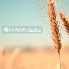 Liquid Soul - Devotion (Zyce & Morten Granau Remix) SAMPLE