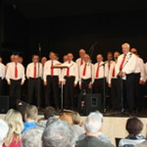Männerchor Rheinfelden - Sing Sing Nur, Sing - Norbert Feibel