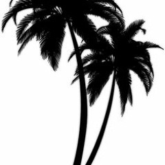 Phresh- Palm Trees