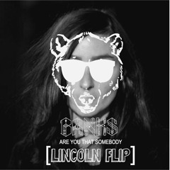 BANKS — Are You That Somebody (Lincoln Flip)