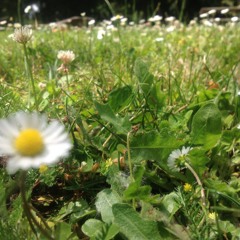 Want You More (Remix by Nick Peloquin)