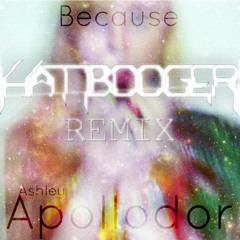 Ashley Apollodor X Jeremy Lee - Because (Hambooger Remix)