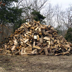N word in a Woodpile