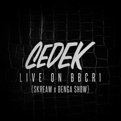 Live on BBC RADIO 1(Skream x Benga Show)