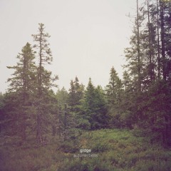 Gidge - You