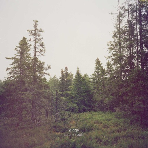 Gidge - You