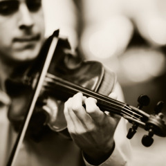 Francois Schubert - The Bee