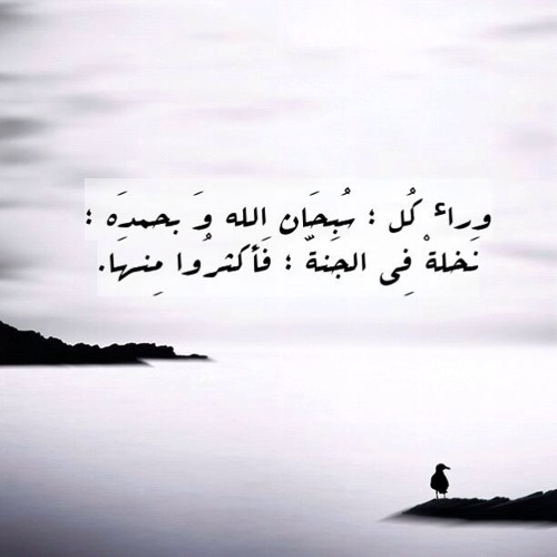 سورة القمر - الشيخ ياسر الدوسري