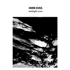 Imre Kiss - Gray's Legend (S Olbricht Remix)