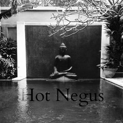 King Ty & Trey - Hot Negus