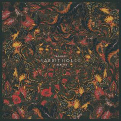 PREMIERE: Thology - Rabbit Holes Ft. Mæve (Capeface Remix)