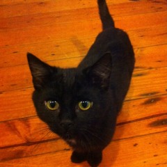 She Dont Like Techno