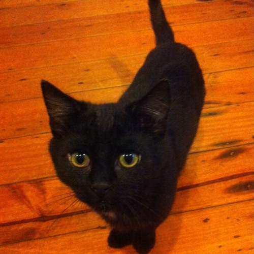 She Dont Like Techno