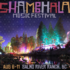 AMANI Dj Set @ Shambhala Hologram