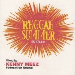 Reggae Summer Sampler - Kenny Meez