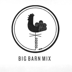 Cassie Drove A Gremlin