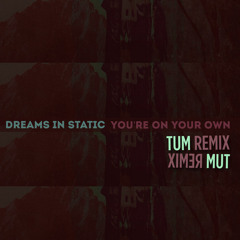 Dreams in Static - You're On Your Own (TUM Remix)