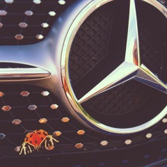 Stewardessen - Prinz Harry (Onkel Jasin Remix)