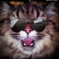 Dont Hold Back Revolution - Zeehad Marciliano (R3hab & NERVO & Ummet Ozcan & Deorro Ft. DyCy)