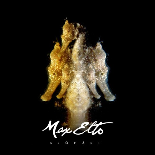 Max Elto - Sjöhäst (Original Mix)