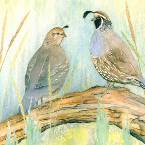 State Bird