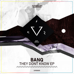 banq - If We Funq (Original Mix) (PREVIEW)