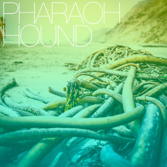 Pharaoh Hound - "Hammer Of Clouds"