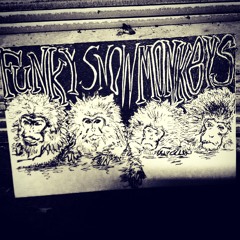 Look at your Face / Funky Snow Monkeys