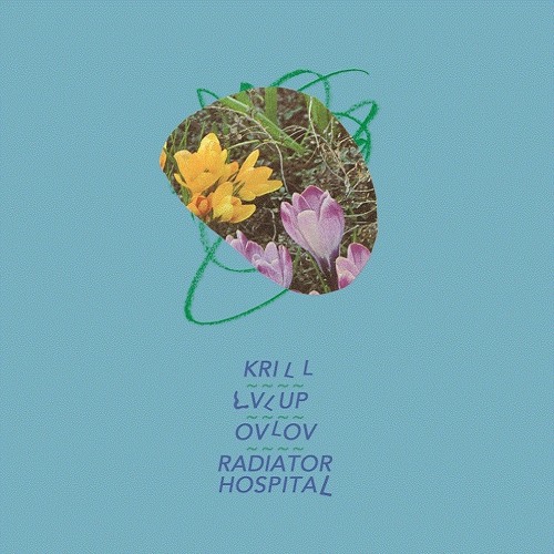 Ovlov - Ohmu Shell