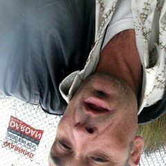 Sounds from Friday morning