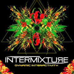 Intermixture - A Greater Reality