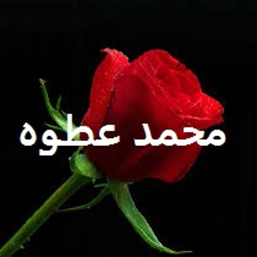 هانى شاكر . لسه بتسألى