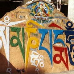 Dunchuur Maani New