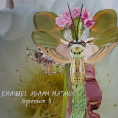 Impression II - EMANUEL ADHAM MATANI
