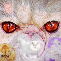 Persian Catz (Original Mix)